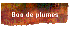 Boa de plumes